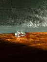 Silver Leaves Woman Ring 2-Photoroom.webp