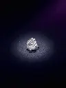 Solitaire Floral Silver Ring Woman 1.webp