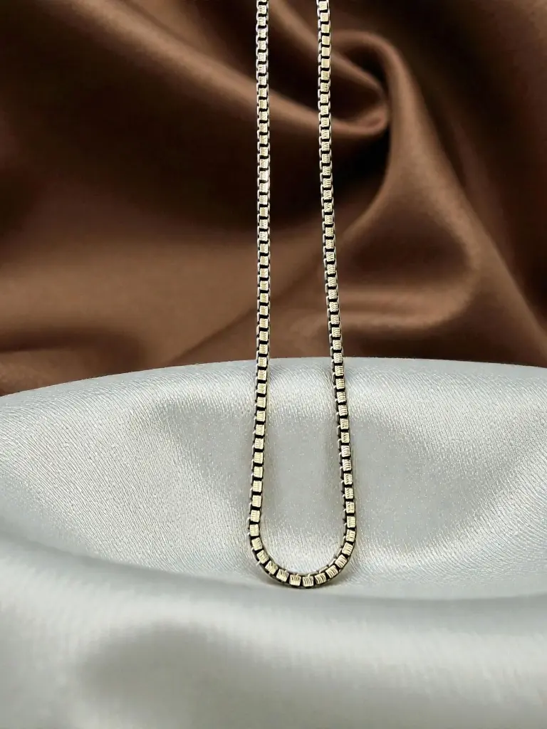 Silver Oxidised Round Box Chain for Men-Photoroom.webp