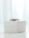 silver-minimal-italian-couple-band-webp..webp